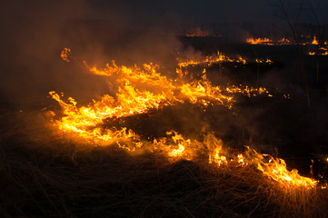 Fototapeta na wymiar The fire situation in the spring. Burning dry grass at the field