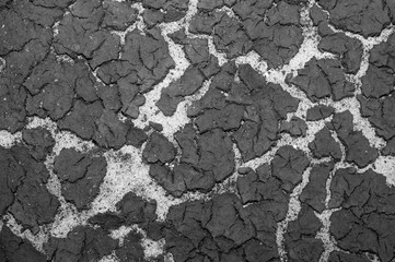The texture of the bottom of the reservoir sand and the accumulation of silt on top. Background. Black and white image.