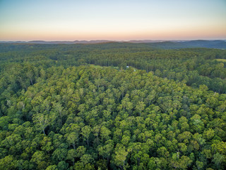 Fototapeta premium Aerial view of native Australian forest and hills at dusk