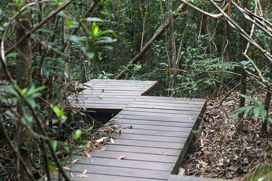 Fototapeta Wooden bridge in tropical forest