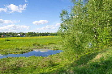Fototapeta na wymiar Spring rural landscape with river and birch trees on the shore