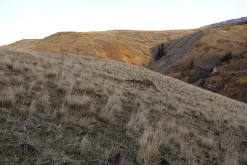 Springtime in the Pacific Northwest