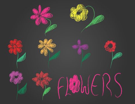 hand drawn flowers and text on black background