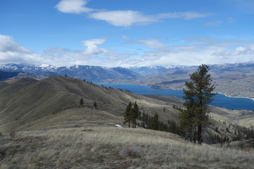 Springtime in the Pacific Northwest