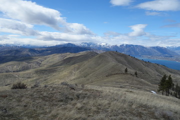Springtime in the Pacific Northwest
