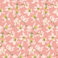 Seamless pattern with citrus tree flowers of different types such as an orange tree, a lemon tree or a lime tree.