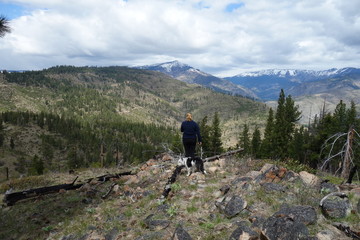 Fototapeta premium Springtime in the Pacific Northwest