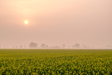 Alba in pianura padana