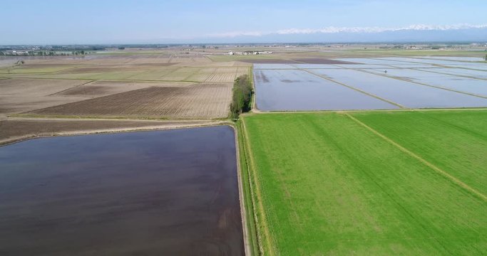 Flooded fields for rice cultivation in the Po Valley, Piedmont, Italy. Aerial drone flight.