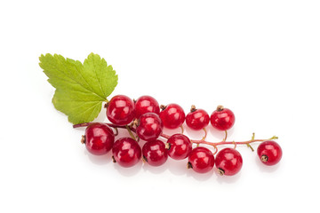 Red currant on white