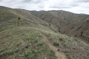Springtime in the Pacific Northwest