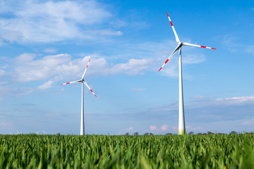 Windräder auf einem Feld drehen sich und produzieren Ökostrom