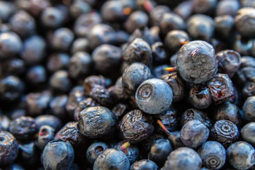 Ripe fresh juicy blueberries