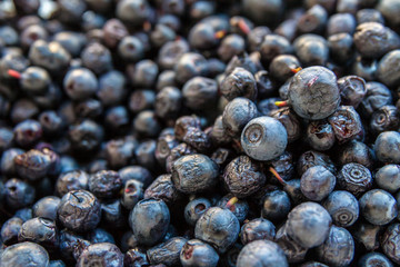 Ripe fresh juicy blueberries