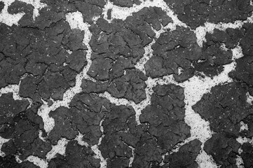 The texture of the bottom of the reservoir sand and the accumulation of silt on top. Background. Black and white image