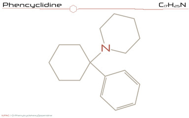 Large and detailed infographic of the molecule of Phencyclidine.