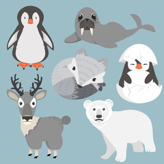 Artic animals cartoon collection Set