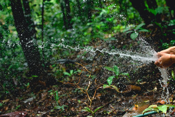 Woman heaving fun with hosepipe splashing water in the jungle