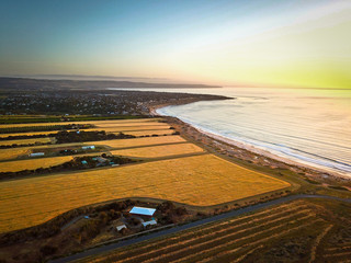 sun fields  