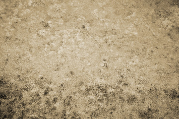 Texture abstraction of water and algae at the bottom of a drained pond. Toning