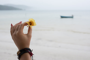 Woman holding yellow flower in hand