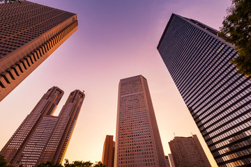 新宿高層ビル群の夕景 © picture cells