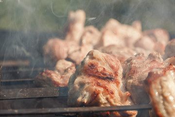 Smoke rises above pieces of meat on skewers roasting on the grill. Shish kebab, bbq, pork.