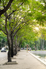 Abstract blurred big green park in city
