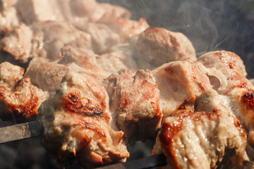 Smoke rises above pieces of meat on skewers roasting on the grill. Shish kebab, bbq, pork.