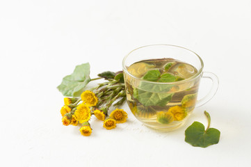 Cup with infusion of coltsfoot and flowers with leaves on white table.