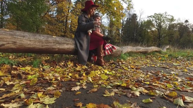 woman with daughter sits on a log in an autumn park