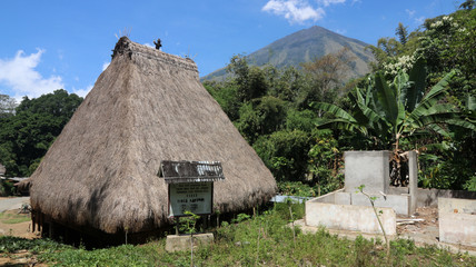 Fototapeta na wymiar Traditionelles Dorf der Ngada