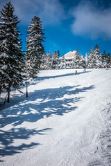 Fototapeta na wymiar beautiful nature and scenery around snowshoe ski resort in cass west virginia