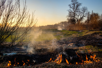 Burning dry grass