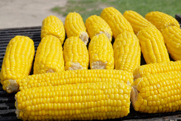 Several corn cobs on the grill outdoor. Concept party, fastfood or street trading