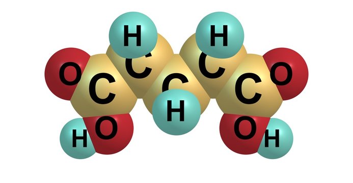 Glutaric acid molecular structure isolated on white