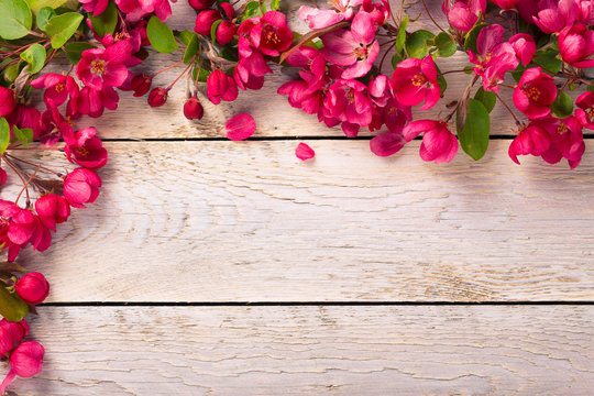 Rustic wooden background with spring flower border