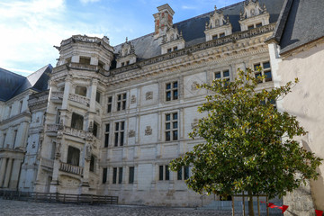 Fototapeta premium Chateau de Blois