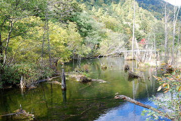 Obraz premium Kamikochi Myojin-ike pond in autumn season / 秋の上高地 - 明神池