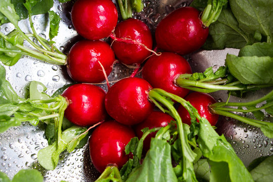Washed radishes in a metallic bowl