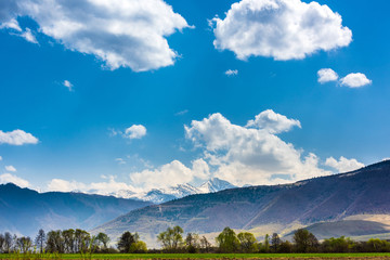 Fresh spring morning with Carpathian mountains in the background covered in snow