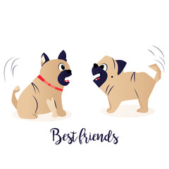 Two funny dogs, bulldog and pug. Friendship.