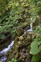 горный ручей