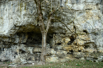Karstgebirge Schwaebische Alb