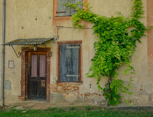 Fototapeta na wymiar Lisle-sur-Tarn, Midi Pyrenees, France - July 14, 2017: Rustic house with vines next to the entrance