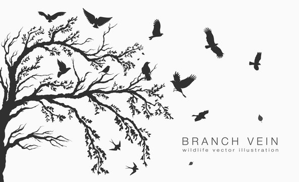 flock of flying birds on tree branch