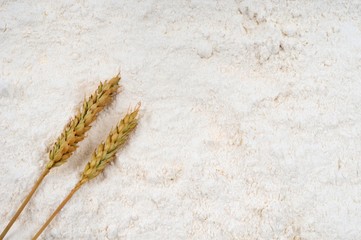 Deux épis de blé sur de la farine 