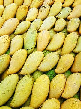 Fresh yellow manggoes display in the market stall.