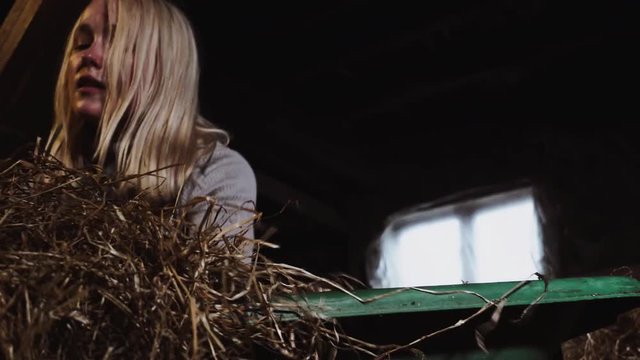 Working at the Stable