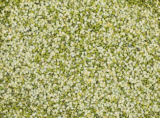 Split Mung Bean Lentils Also Know as Mungbean, Green Moong Bean, Mung Gram, Vigna Radiata, Green...